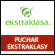 Puchar Ekstraklasy